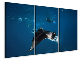 3-piece-canvas-print-manta-ray-ii