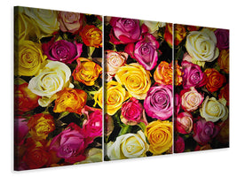 3-piece-canvas-print-many-colorful-rose-petals