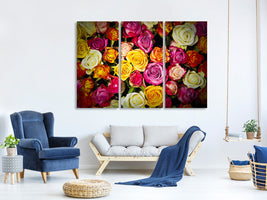 3-piece-canvas-print-many-colorful-rose-petals