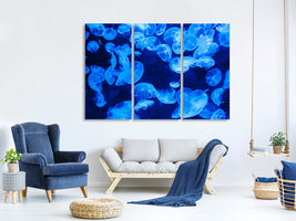 3-piece-canvas-print-many-jellyfish-in-the-blue-water