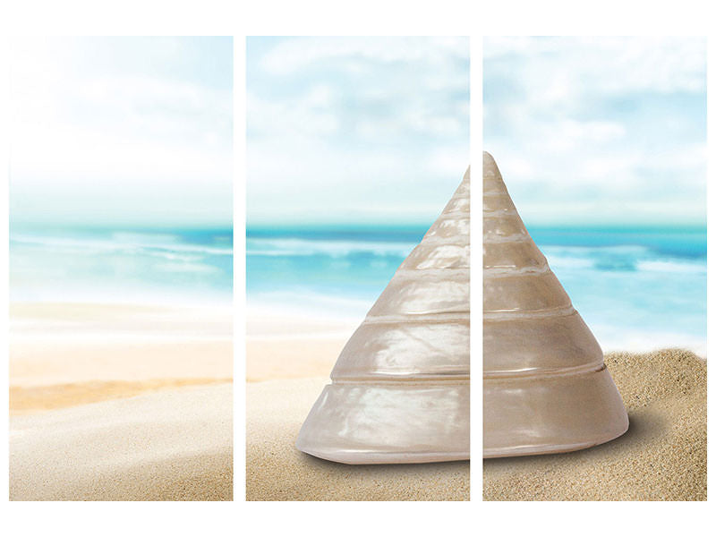 3-piece-canvas-print-marine-snail-xxl