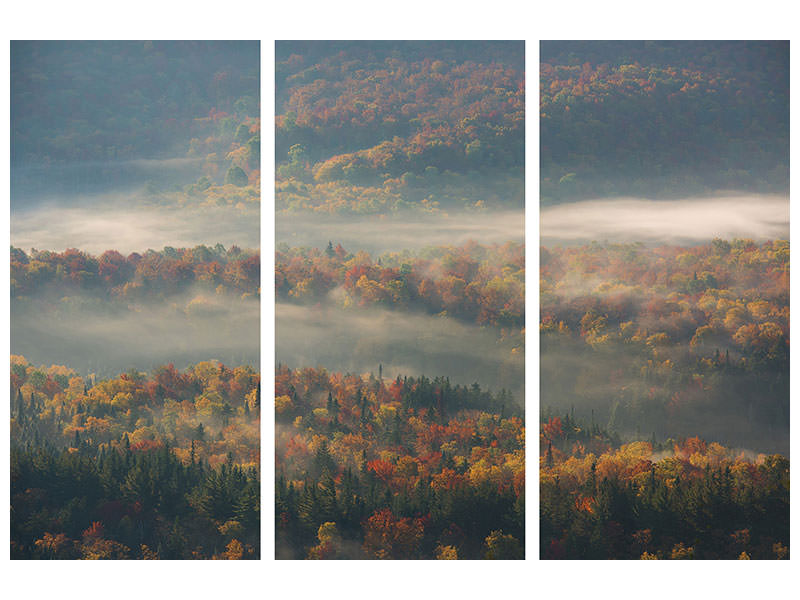3-piece-canvas-print-misty-morning-ii-a