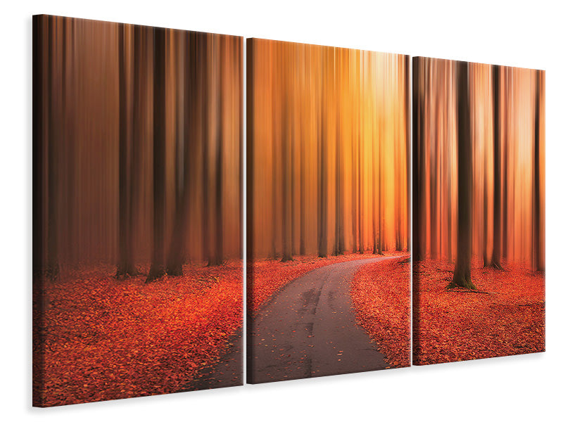 3-piece-canvas-print-path-to-unknown