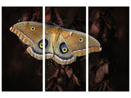 3-piece-canvas-print-polyphemus