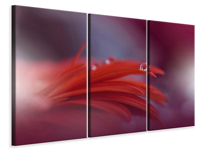 3-piece-canvas-print-red-passion