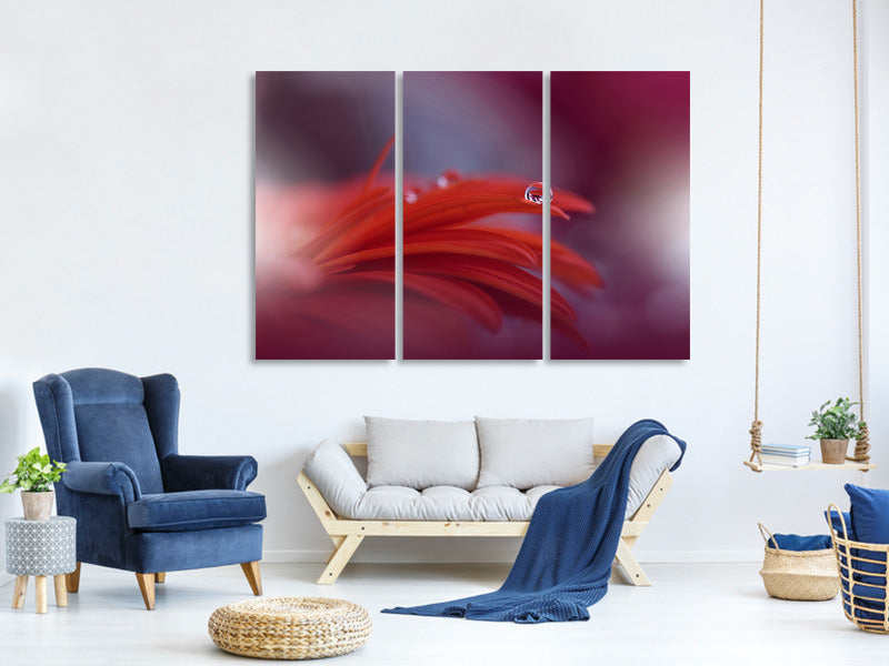 3-piece-canvas-print-red-passion