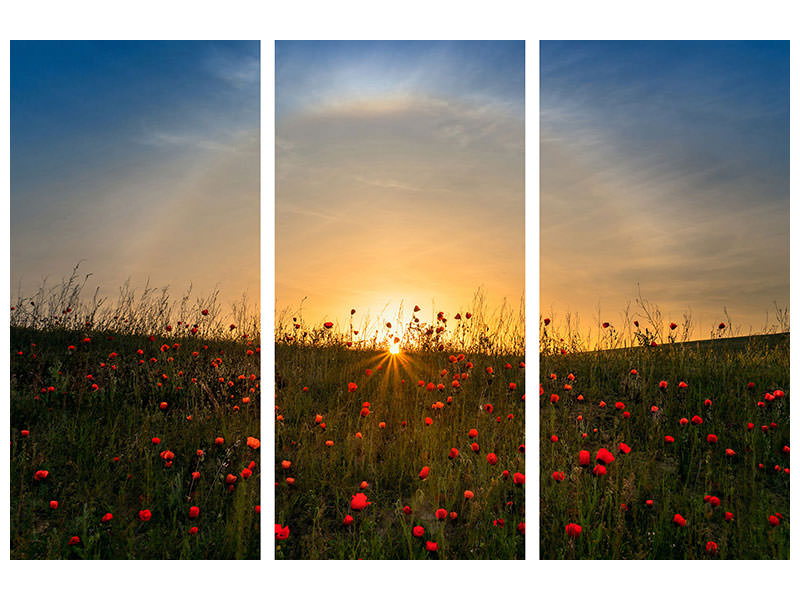 3-piece-canvas-print-red-poppies-and-sunrise