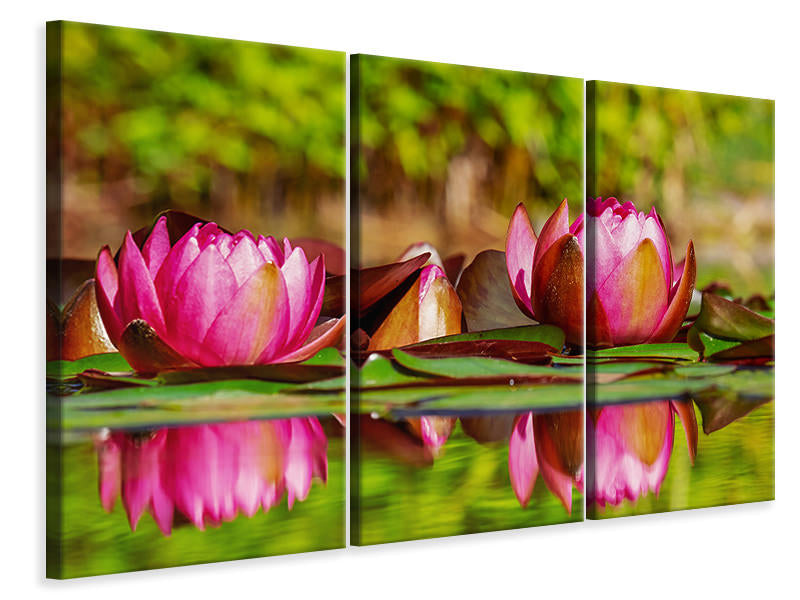 3-piece-canvas-print-red-water-lily-trio