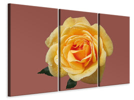 3-piece-canvas-print-rose-in-yellow-xxl