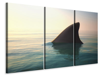 3-piece-canvas-print-shark-fin