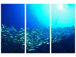 3-piece-canvas-print-shoal-of-fish