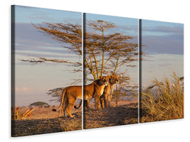 3-piece-canvas-print-sisters