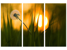 3-piece-canvas-print-sunbathing