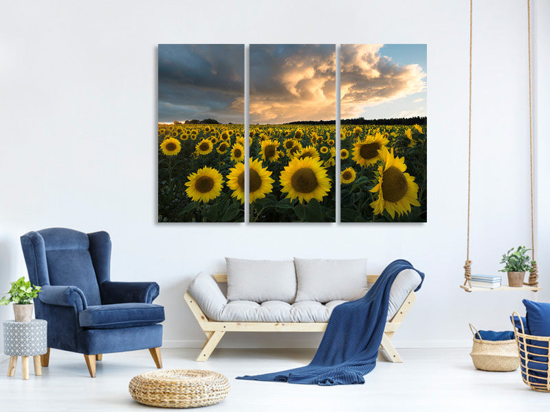 3-piece-canvas-print-sunflowers-in-sweden