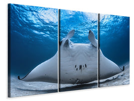 3-piece-canvas-print-take-off-manta-airline