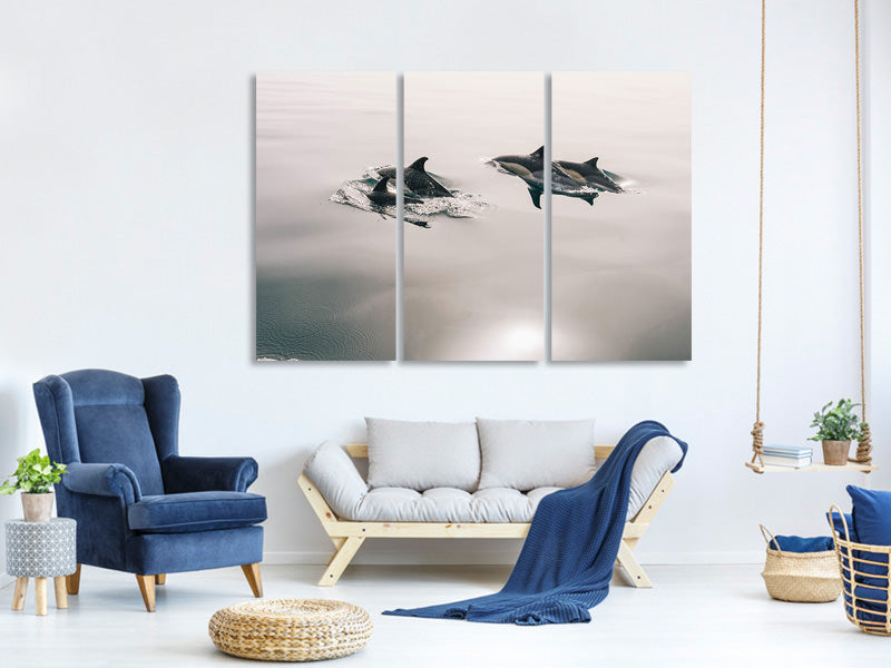 3-piece-canvas-print-the-dolphins