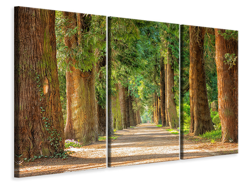 3-piece-canvas-print-the-green-avenue