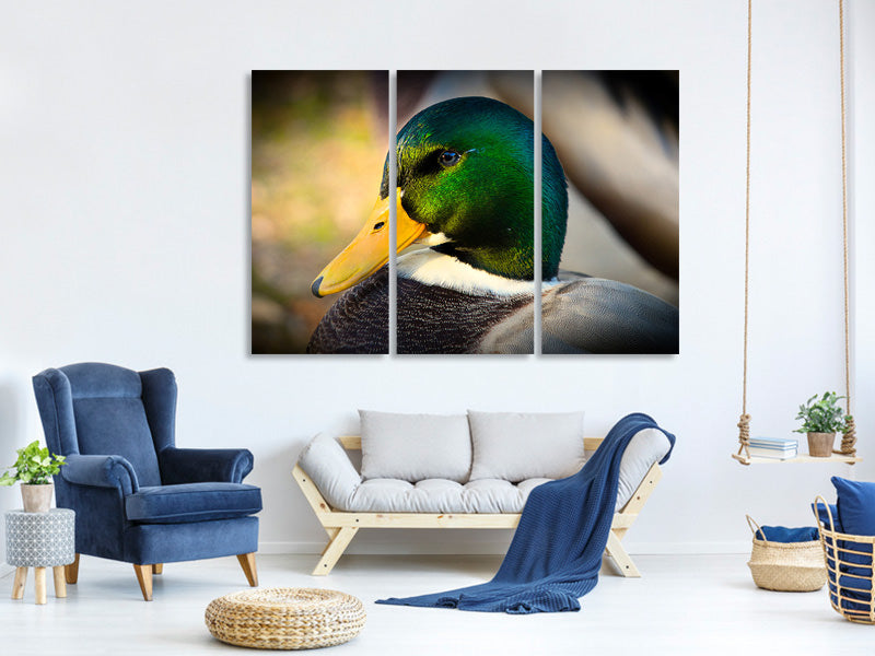 3-piece-canvas-print-the-mallard