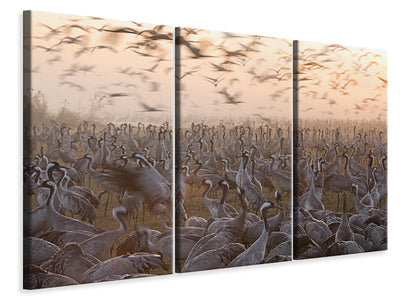 3-piece-canvas-print-the-mass