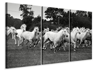 3-piece-canvas-print-the-mustang-herd