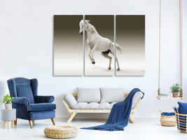 3-piece-canvas-print-the-proud-mare