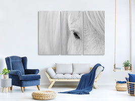 3-piece-canvas-print-whisper-of-iceland