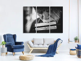 3-piece-canvas-print-wolf-with-harmonica