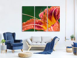 3-piece-canvas-print-xxl-lily-in-orange