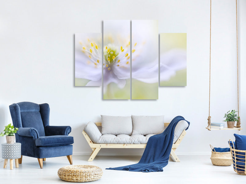 4-piece-canvas-print-anemone-beauty