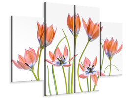 4-piece-canvas-print-apricot-tulips