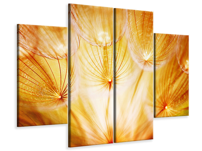 4-piece-canvas-print-close-up-dandelion-in-light