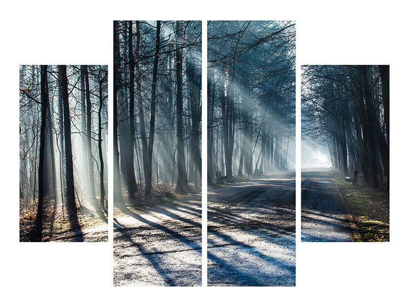 4-piece-canvas-print-forest-in-the-light-beam