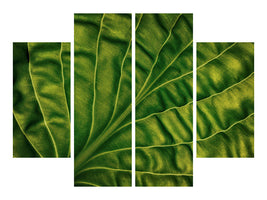 4-piece-canvas-print-leaf-of-a-hosta