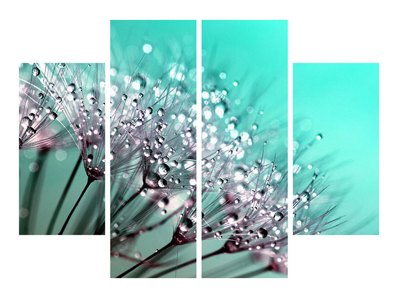 4-piece-canvas-print-macro-dandelion-p