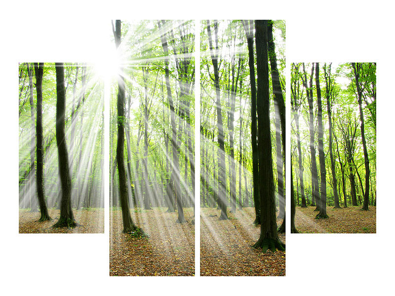 4-piece-canvas-print-magic-light-in-the-trees
