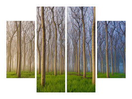 4-piece-canvas-print-morning-of-the-forest