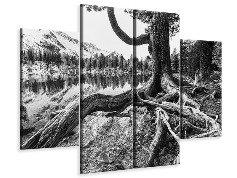 4-piece-canvas-print-old-tree