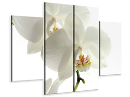 4-piece-canvas-print-orchids-bloom