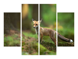 4-piece-canvas-print-red-fox