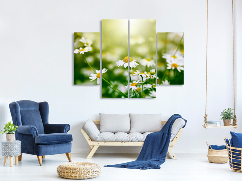 4-piece-canvas-print-the-daisy