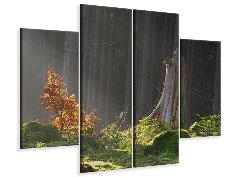 4-piece-canvas-print-the-magic-in-the-forest