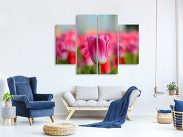 4-piece-canvas-print-tulip-field-in-pink-red