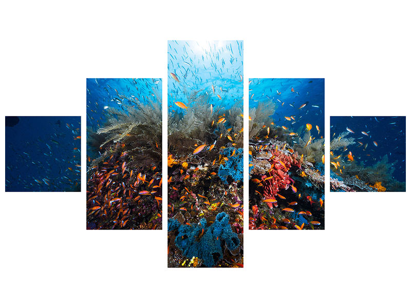 5-piece-canvas-print-apnea