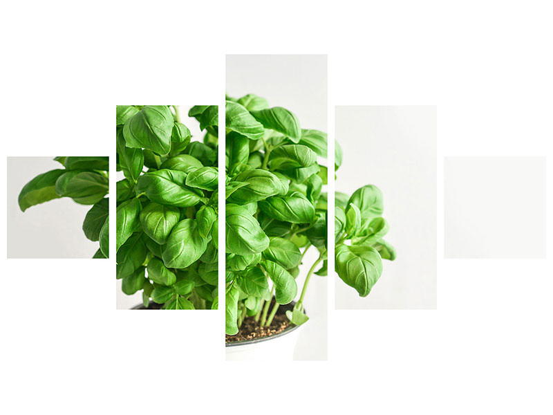 5-piece-canvas-print-basil-in-the-pot