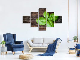 5-piece-canvas-print-basil-leaf-in-xxl