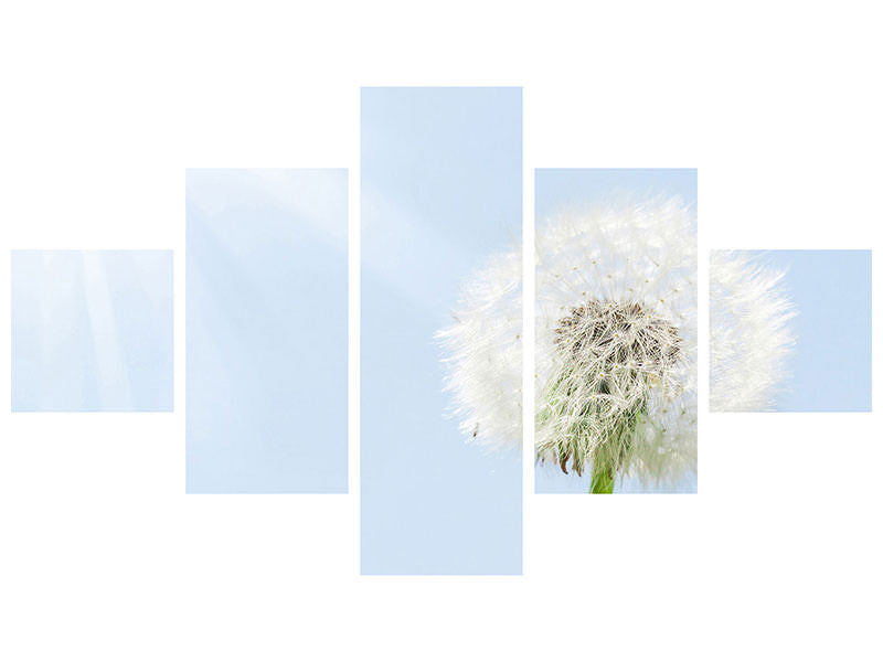 5-piece-canvas-print-dandelion-in-sunbeam