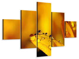 5-piece-canvas-print-drops-close-up