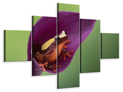 5-piece-canvas-print-frog-cubby-house