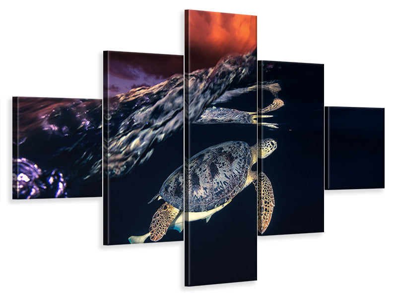 5-piece-canvas-print-green-turtle-and-sunset-sea-turtle