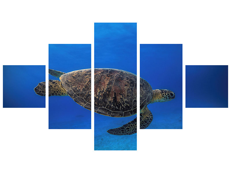 5-piece-canvas-print-green-turtle-in-the-blue